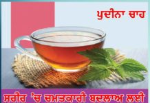Mint tea: ਸਰੀਰ ‘ਚ ਚਮਤਕਾਰੀ ਬਦਲਾਅ ਲਈ ਰੋਜ਼ਾਨਾ ਪੀਓ : ਪੁਦੀਨਾ ਚਾਹ Mint tea