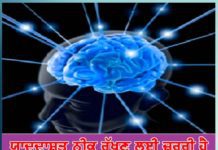 Brain Memory: ਯਾਦਦਾਸ਼ਤ ਠੀਕ ਰੱਖਣ ਲਈ ਜ਼ਰੂਰੀ ਹੈ ਦਿਮਾਗ ਦਾ ਜ਼ਿਆਦਾ ਇਸਤੇਮਾਲ more-and-more-use-of-the-brain-is-necessary-to-maintain-memory