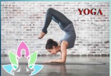 Yoga Posture: ਸਟੈਮਿਨਾ ਵਧਾਉਣ ਲਈ ਕਰੋ ਇਹ ਯੋਗ ਆਸਨ Yoga Posture