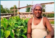 Planted: ਬੰਜਰ ਜ਼ਮੀਨ ‘ਤੇ ਉਗਾ ਚੁੱਕੇ ਹਨ ਹਜ਼ਾਰਾਂ ਪੌਦੇ… thousands-of-trees-have-been-planted-on-the-wasteland