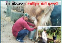 Dairy Farming: ਡੇਅਰੀ ਫਾਰਮਿੰਗ ਨਾਲ ਖੇਤੀ ਨੂੰ ਬਣਾਇਆ ਫਾਇਦੇ ਦਾ ਸੌਦਾ dairy-farming