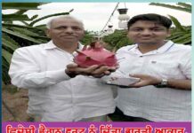 Dragon Fruit Cultivation in India: ਵਿਦੇਸ਼ੀ ਡ੍ਰੈਗਨ ਫਰੂਟ ਨੂੰ ਦਿੱਤਾ ਭਾਰਤੀ ਆਕਾਰ, ਅਨੋਖੀ ਖੇਤੀ ਕਰਦੇ ਹਨ ਸ਼੍ਰੀਨਿਵਾਸ ਰਾਓ Dragon Fruit Cultivation in India