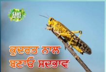 Nature: ਕੁਦਰਤ ਨਾਲ ਬਣਾਓ ਸਦਭਾਵ we should stop activities that are destroying nature
