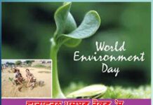 World Environment Day: ਵਾਤਾਵਰਨ ਪ੍ਰਦੂਸ਼ਣ ਰੋਕਣ ’ਚ ਡੇਰਾ ਸੱਚਾ ਸੌਦਾ ਦਾ ਸ਼ਲਾਘਾਯੋਗ ਯੋਗਦਾਨ dera sacha sauda commendable contribution in preventing environmental pollution