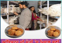 Oyster farming: ਆੱਇਸਟਰ ਦੀ ਖੇਤੀ ’ਚ ਮਿਸਾਲ ਬਣੀ ਸ਼ੇਖਾਵਤ ਫੈਮਿਲੀ shekhawat family became an example in oyster farming