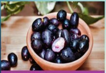 jamun: ਜਾਮਣ ਕੁਦਰਤ ਦਾ ਅਨਮੋਲ ਤੋਹਫਾ jamun is a priceless gift of nature
