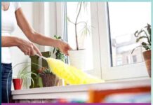 Clean the house: ਇਹ ਟਿਪਸ ਦਿਵਾਉਣਗੇ ਘਰ ’ਚ ਧੂੜ-ਮਿੱਟੀ ਤੋਂ ਛੁਟਕਾਰਾ New hacks will get rid of dust and dirt in the house