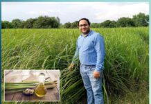 lemon grass: ਲੈਮਨ ਗਰਾਸ ਦੀ ਖੇਤੀ ਕਰਕੇ ਬਣਾਈ ਵੱਖਰੀ ਪਛਾਣ different identity created by cultivating lemon grass