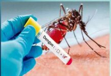 Dengue Mosquito: ਡੇਂਗੂ ਮੱਛਰ ਤੋਂ ਬਚ ਕੇ ਰਹੋ stay away from dengue mosquito