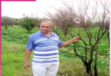 Integrated Farming: ਬਿਜਨੈੱਸ ਛੱਡ ਇੰਟੀਗ੍ਰੇਟਿਡ ਫਾਰਮਿੰਗ ਨਾਲ ਕਮਾਇਆ ਨਾਂਅ leaving business and earning a name from integrated farming
