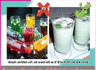 Energy Drinks: ਐਨਰਜ਼ੀ ਡਰਿੰਕਸ ਤੋਂ ਬਚੋ, ਪੀਓ ਦੇਸੀ ਪੀਣ ਵਾਲੇ ਪਦਾਰਥ Energy Drinks, Local Drinks