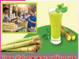 Sugarcane Juice: ਪੋਸ਼ਕ ਤੱਤਾਂ ਨਾਲ ਭਰਪੂਰ ਗੰਨੇ ਦਾ ਜੂਸ Sugarcane Juice