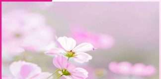 ਖੁਦ ਤੋਂ ਖੁਦ ਤੱਕ ਦਾ ਸਫ਼ਰ journey