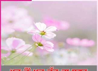 ਖੁਦ ਤੋਂ ਖੁਦ ਤੱਕ ਦਾ ਸਫ਼ਰ journey