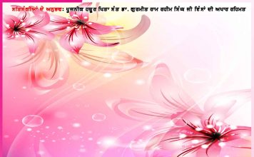 Experiences of Satsangis: ਭਿਆਨਕ ਹਾਦਸੇ ’ਚ ਵਾਲ-ਵਾਲ ਬਚਾ ਲਿਆ -ਸਤਿਸੰਗੀਆਂ ਦੇ ਅਨੁਭਵ Experiences of Satsangis