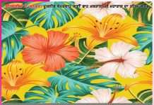 Experiences of Satsangis: ਅਭੀ ਨਹੀਂ ਲੇਣੀ, ਮੌਕੇ ਪਰ ਪੂਲੇ ਹੀ ਖਰੀਦਣੇ ਹੈਂ’-ਸਤਿਸੰਗੀਆਂ ਦੇ ਅਨੁਭਵ : Experiences of Satsangis