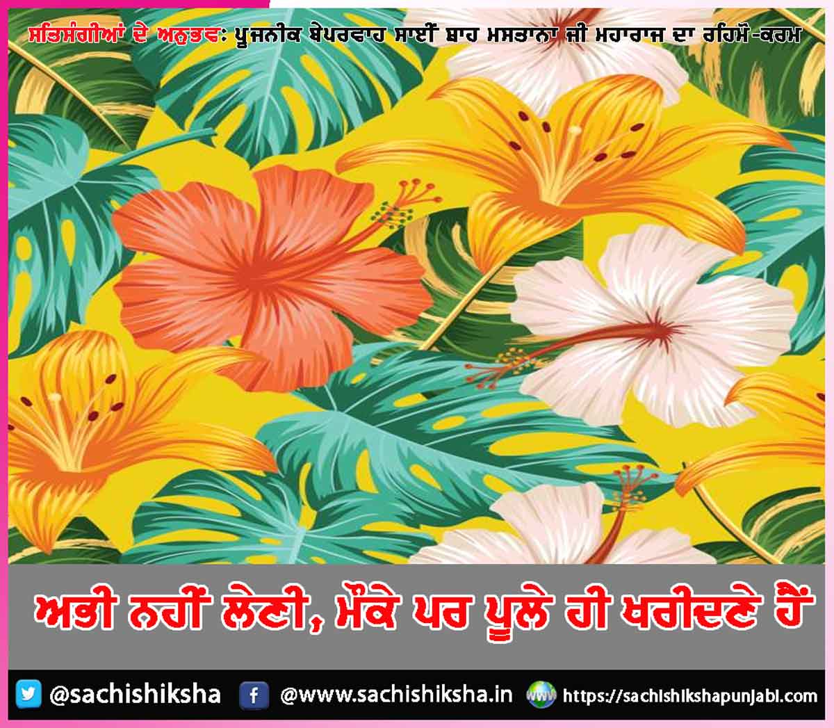 Experiences of Satsangis (2) Experiences of Satsangis