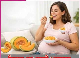 Melon: ਸਿਹਤ ਦਾ ਸਾਥੀ ਖਰਬੂਜ਼ਾ Melon
