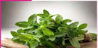 Mint: ਗਰਮੀ ਦੇ ਰੋਗਾਂ ਦੀ ਰਾਮਬਾਣ ਦਵਾਈ ‘ਪੁਦੀਨਾ’ Mint