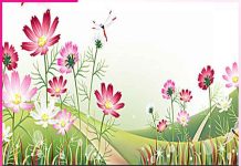 Self Examination: ਕਿਉਂ ਜ਼ਰੂਰੀ ਹੈ ਸਵੈ-ਪੜਚੋਲ Self Examination