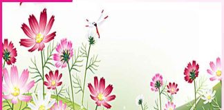 Self Examination: ਕਿਉਂ ਜ਼ਰੂਰੀ ਹੈ ਸਵੈ-ਪੜਚੋਲ Self Examination