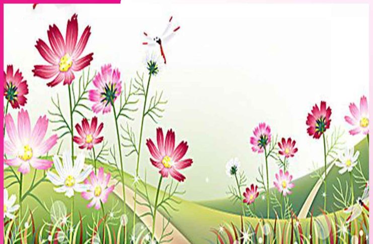 Self Examination: ਕਿਉਂ ਜ਼ਰੂਰੀ ਹੈ ਸਵੈ-ਪੜਚੋਲ Self Examination