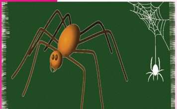 Spider: ਮੱਕੜੀ ਹੋਵੇਗੀ ਘਰ ਤੋਂ ਬਾਹਰ Spider