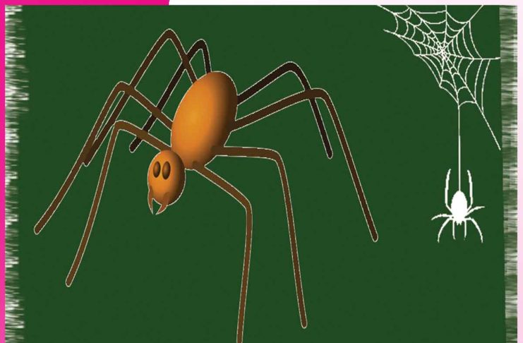 Spider: ਮੱਕੜੀ ਹੋਵੇਗੀ ਘਰ ਤੋਂ ਬਾਹਰ Spider