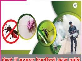 Mosquitoes: ਮੱਛਰਾਂ ਤੋਂ ਛੁਟਕਾਰਾ ਦਿਵਾਉਣਗੇ ਘਰੇਲੂ ਤਰੀਕੇ mosquitoes
