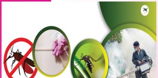 Mosquitoes: ਮੱਛਰਾਂ ਤੋਂ ਛੁਟਕਾਰਾ ਦਿਵਾਉਣਗੇ ਘਰੇਲੂ ਤਰੀਕੇ mosquitoes