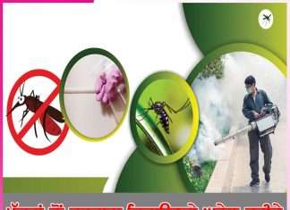 Mosquitoes: ਮੱਛਰਾਂ ਤੋਂ ਛੁਟਕਾਰਾ ਦਿਵਾਉਣਗੇ ਘਰੇਲੂ ਤਰੀਕੇ mosquitoes