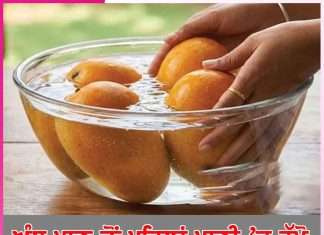 Mango: ਅੰਬ ਖਾਣ ਤੋਂ ਪਹਿਲਾਂ ਪਾਣੀ ’ਚ ਰੱਖੋ Mango