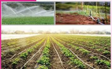 Modern irrigation: ਆਧੁਨਿਕ ਸਿੰਚਾਈ ਡਰਿੱਪ-ਸਪ੍ਰਿੰਕਲਰ ਸਿਸਟਮ Modern irrigation