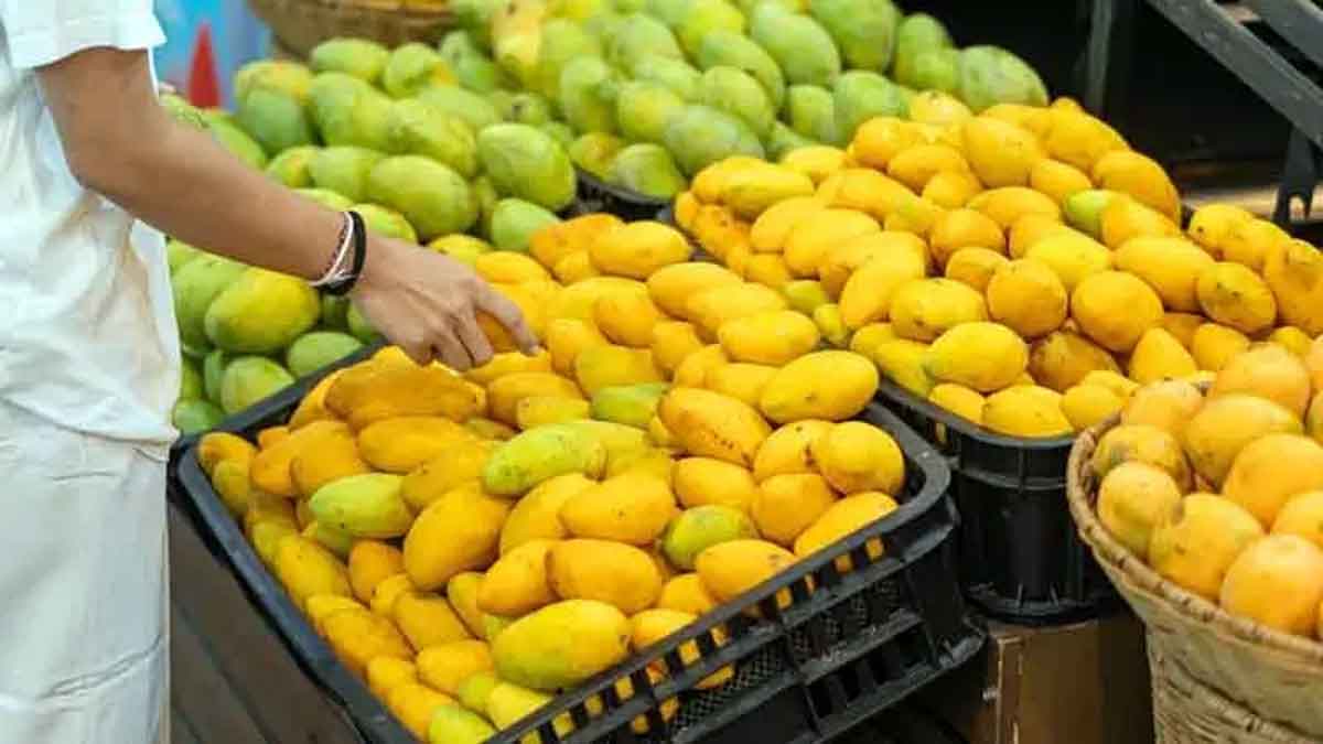 Mango: ਅੰਬ ਖਾਣ ਤੋਂ ਪਹਿਲਾਂ ਪਾਣੀ ’ਚ ਰੱਖੋ 1 Mangoes