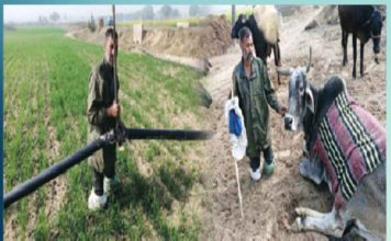 amputated-legs-but-amar-singh-brought-life-back-on-track