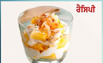 Pinna Colada Yogurt: ਪਿੰਨਾ ਕੋਲਾਡਾ ਯੋਗਰਟ pinna-colada-yogurt