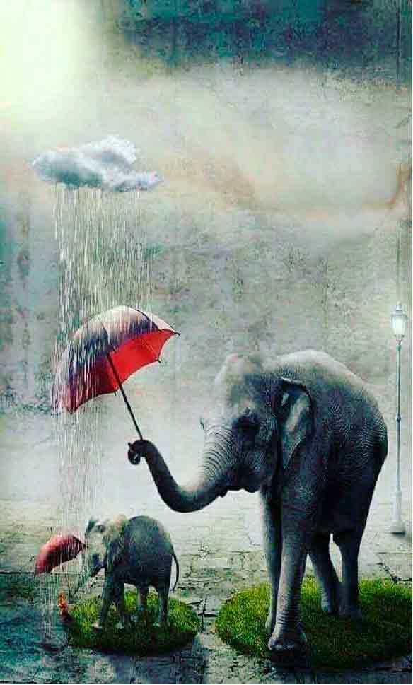love: ਪ੍ਰਭੂ ਪ੍ਰੇਮ ’ਚ ਸੱਚਾ ਸਮੱਰਪਣ 1 love-and-compassion-is-mother