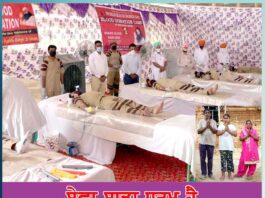 service-is-our-religion