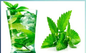in-summer-nectar-is-like-peppermint