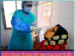 world-health-organization