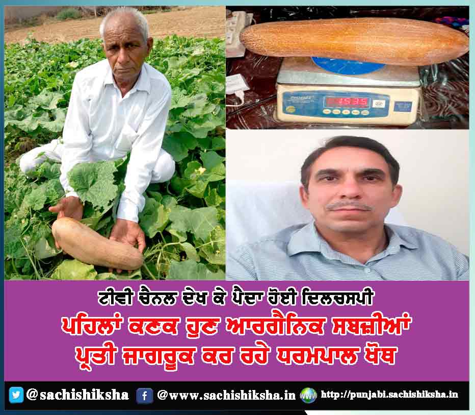 dharampal-khoth-generated-interest-on-organic-farming-by-watching-tv-channel