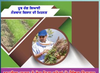 journey-of-young-farmer-yogesh-and-how-hard-work-brought-success-to-him