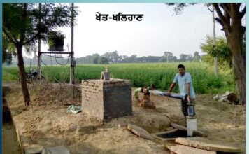 changes-in-ground-water-after-saving-rain-water-and-canal-water