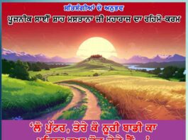 an-incident-from-1957-experiences-of-satsangis
