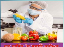 food-science-and-technology-opportunities-career-scope-job-profiles