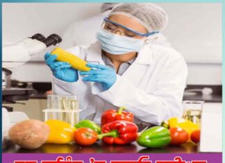 food-science-and-technology-opportunities-career-scope-job-profiles