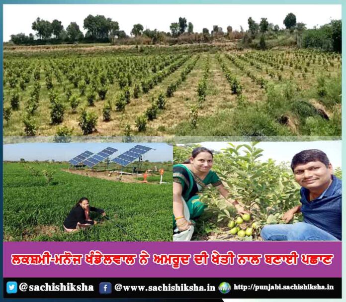 laxmi-manoj-khandelwal-made-a-nationwide-recognition-with-their-innovative-guava-cultivation