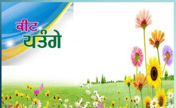 moths specialize in color change for self defense