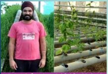 moga ex lecturer turns progressive farmer grows brahmi using hydroponics