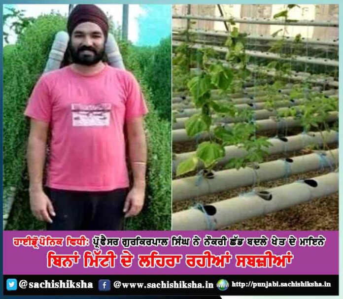 moga ex lecturer turns progressive farmer grows brahmi using hydroponics